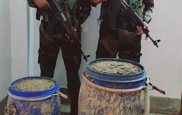Assam Rifles and DRI Collaborate to Seize 62 kg of Ganja