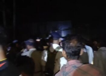 Wild elephant attack: one died