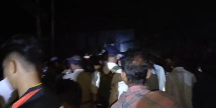 Wild elephant attack: one died