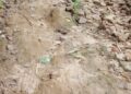 Road Woes Created Terrible Wrath Amidst Locals.   