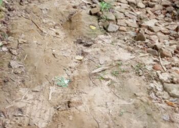 Road Woes Created Terrible Wrath Amidst Locals.   