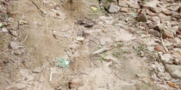 Road Woes Created Terrible Wrath Amidst Locals.   