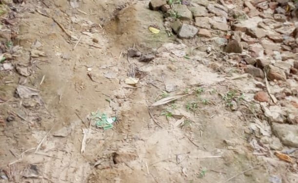 Road Woes Created Terrible Wrath Amidst Locals.   