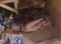 Incident of Elder Abuse Sparks Outrage in Kanchanmala Area