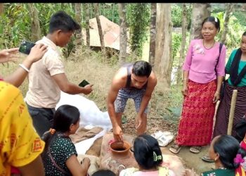 AMPI FOREST RANGE INITIATED INNOVATIVE PROJECT.     