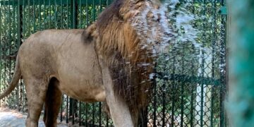 scorching heat wave in Tripura