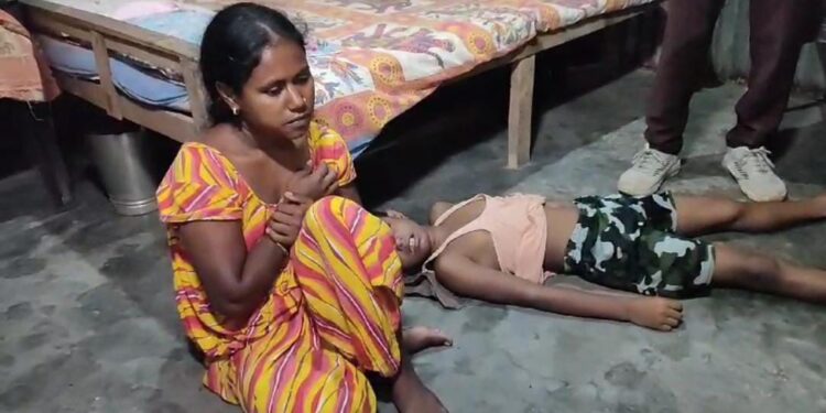 Mother Kills Nine-Year-Old Son in Tragic Incident