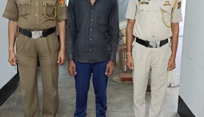 Agartala GRP Thwarts Drug Trafficking with Significant Ganja Seizure