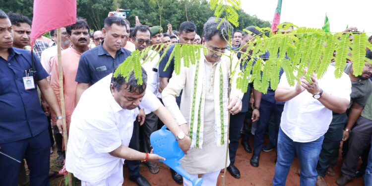 5 Lakh seedlings plant in 5 minutes: State set new milestone led by CM