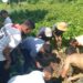 Kalyanpur Scouts and Guides Unit Rescues Dog from Deep Pit