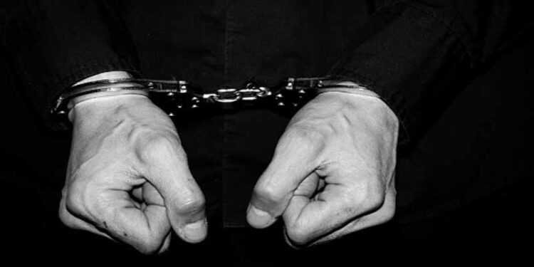 Two Individuals Arrested for Allegedly Attacking Police Officers