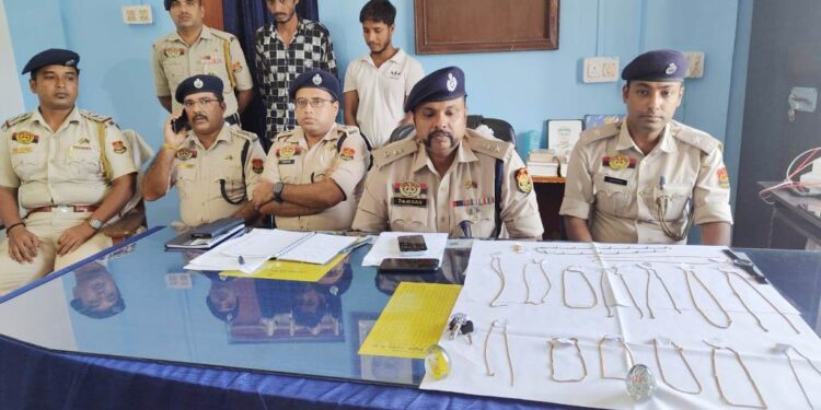 Two notorious detains for snatching charges