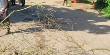 Violent Clash Over Panchayat Head Election in Boxnagar