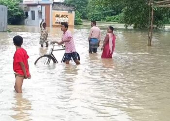 Heavy Rainfall: Seven people lost their lives