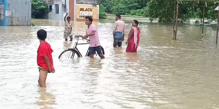 Heavy Rainfall: Seven people lost their lives
