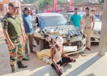 Drug smuggler arrested