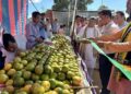 Minister inaugurates State-Level Orange Festival