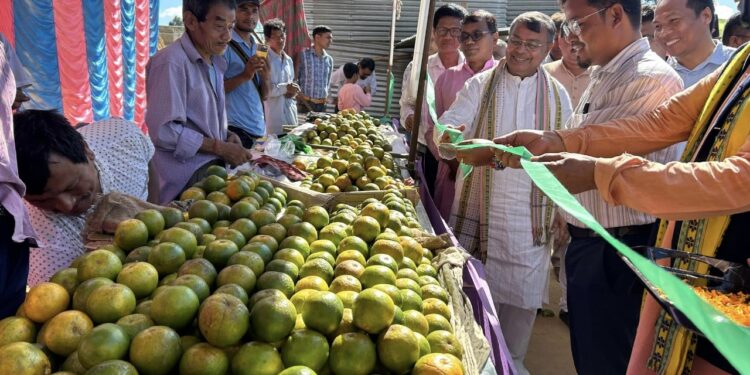 Minister inaugurates State-Level Orange Festival