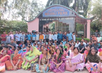 Forest Department Workers Strike Over Unpaid Wages