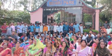Forest Department Workers Strike Over Unpaid Wages