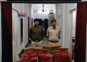 Large quantities of illegal substances seized