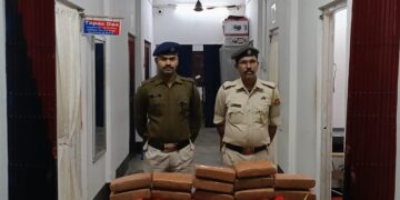 Large quantities of illegal substances seized