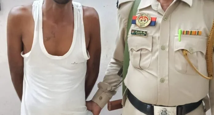 65 years old man dead body recover: alleged son arrested