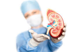 Kidney transplant done successfully at GBP hospital