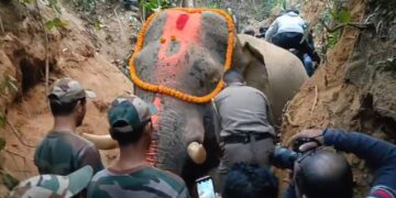 Tumor died after being hit by speeding train