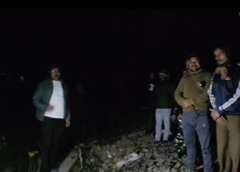 Tumor critically injured after being hit by a high-speed train