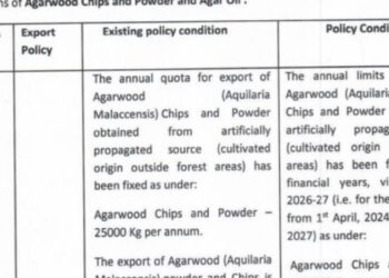 Central government relaxes terms and conditions governing export of agarwood and agar oil