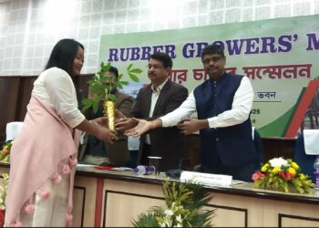 Tripura and Assam are set to emerge as key players in the rubber sector in Northeast