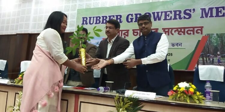 Tripura and Assam are set to emerge as key players in the rubber sector in Northeast