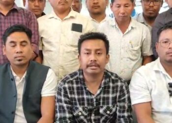 YTF announces to hold its first-ever plenary session