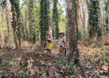Hanging body recovered