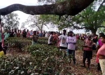 Two dead body found in hanging position