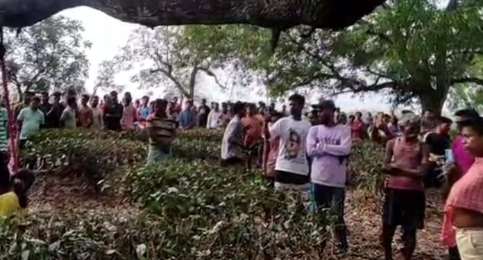 Two dead body found in hanging position