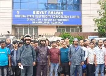 Vision Plus Electricity Workers Submit Deputation Over Pending Wages, Job Security