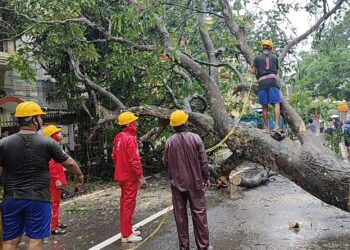 Torrential Rains Continue to Batter Tripura; 93 Houses Damaged, Relief Camps Opened