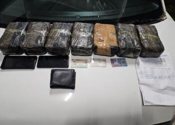 ASSAM RIFLES AND DRI SEIZE YABA TABLETS WORTH ₹7 CRORE IN TELIAMURA