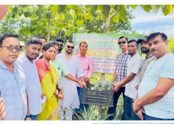 Tripura’s Bishalgarh Pineapples Reach Delhi, Marking Export Milestone