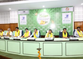 Pineapple Prices Triple in 7 Years, Tripura Eyes Global Market: Minister