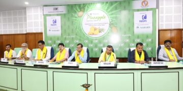 Pineapple Prices Triple in 7 Years, Tripura Eyes Global Market: Minister