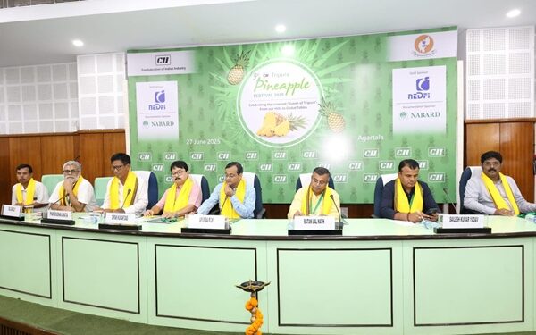 Pineapple Prices Triple in 7 Years, Tripura Eyes Global Market: Minister