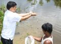 Tripura aims fish self-sufficiency; Minister Das leads seed drive