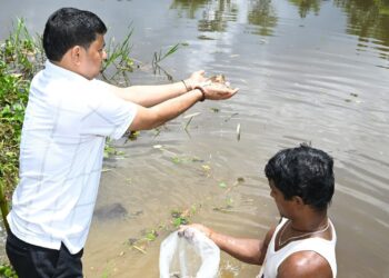 Tripura aims fish self-sufficiency; Minister Das leads seed drive