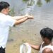 Tripura aims fish self-sufficiency; Minister Das leads seed drive