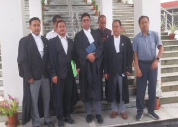 Tripura HC Disposes PIL on Illegal Immigration, Asks Petitioners to Wait for Govt Action