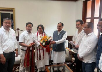 TIPRA Motha Meets JP Nadda, Presses for Tiprasa Accord Implementation and SIR in Tripura