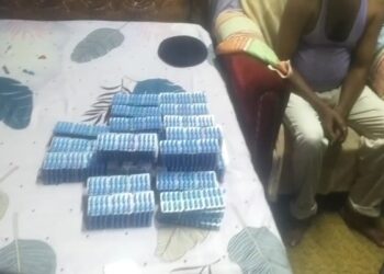 Huge Cache of Narcotics Seized from Udaipur Resident’s House; One Arrested